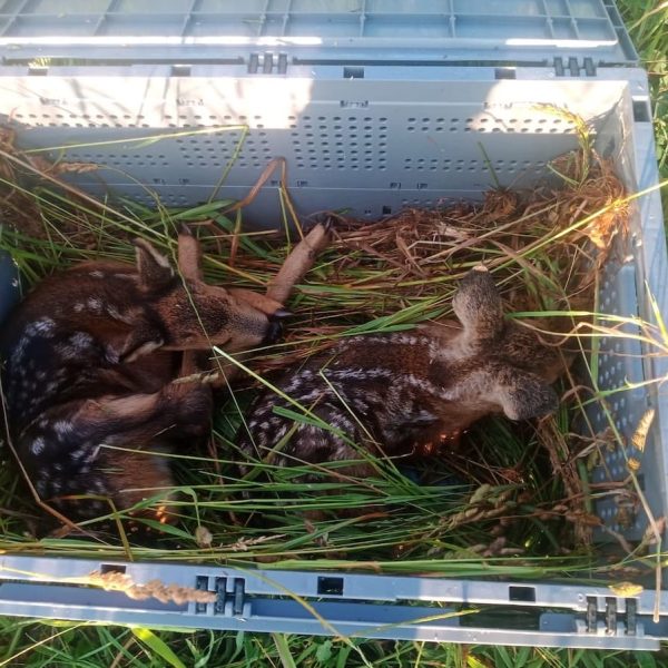 Vorbereitungskurs für Drohnenführerschein