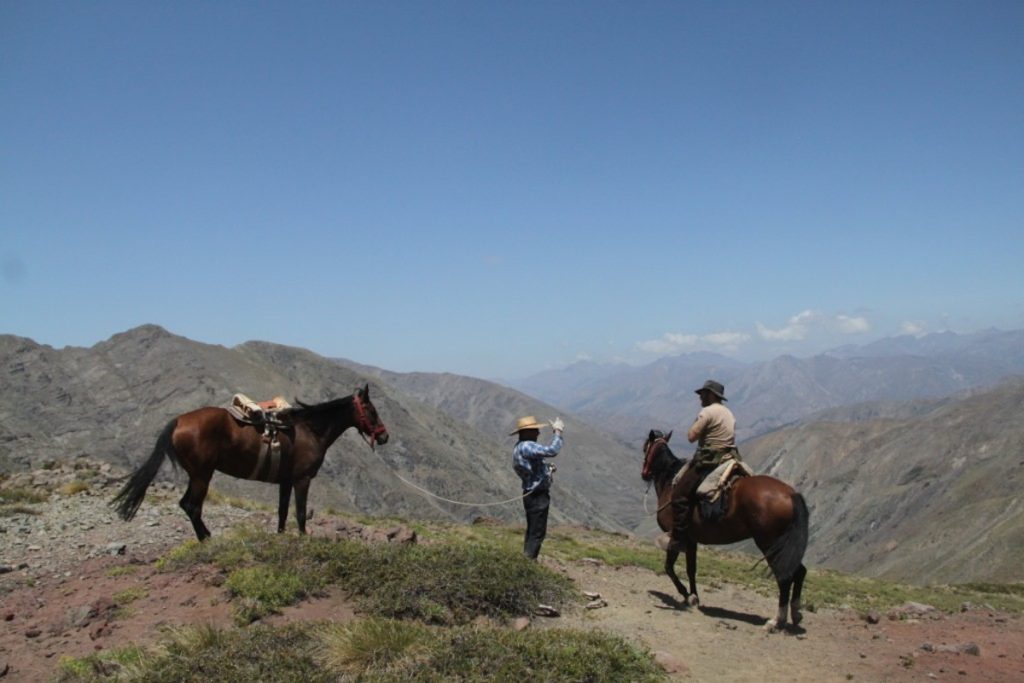 Wanderreiten Trekkingtour Expedition Abenteuer Reitsafari Chile Anden – CE-adventures Jagdschule Rheinland-Pfalz