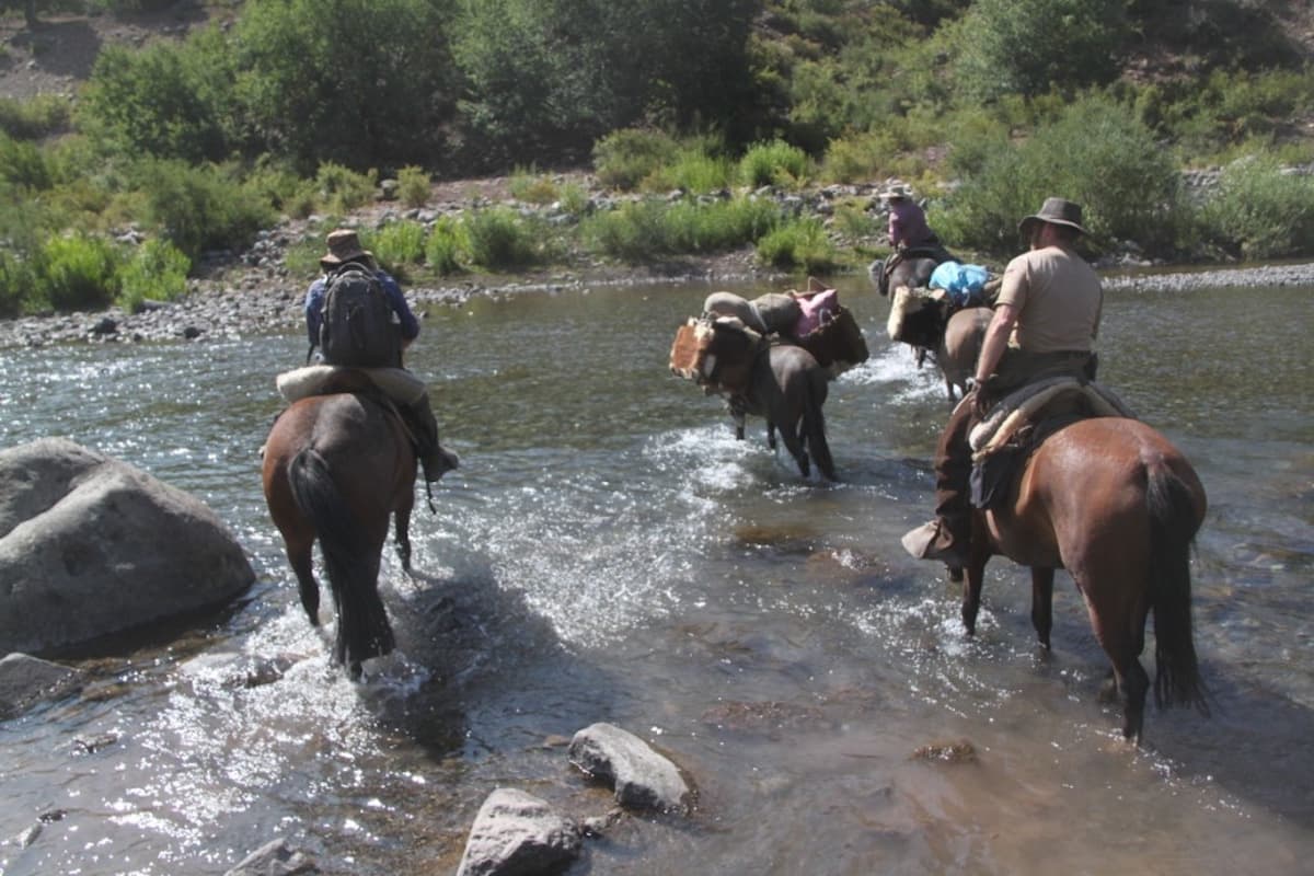 Wanderreiten Trekkingtour Expedition Abenteuer Reitsafari Chile Flußüberquerung – CE-adventures Jagdschule Rheinland-Pfalz