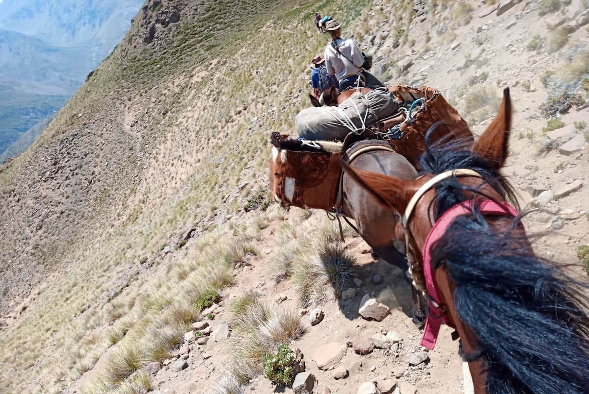 Wanderreiten Trekkingtour Expedition Abenteuer Reitsafari Chile Ziegenpfad (8) – CE-adventures Jagdschule Rheinland-Pfalz